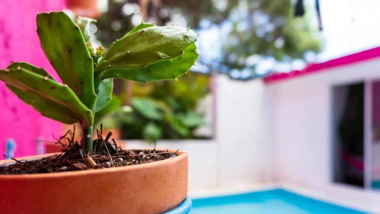 Casa Tiahui Appartamento Cancún Messico